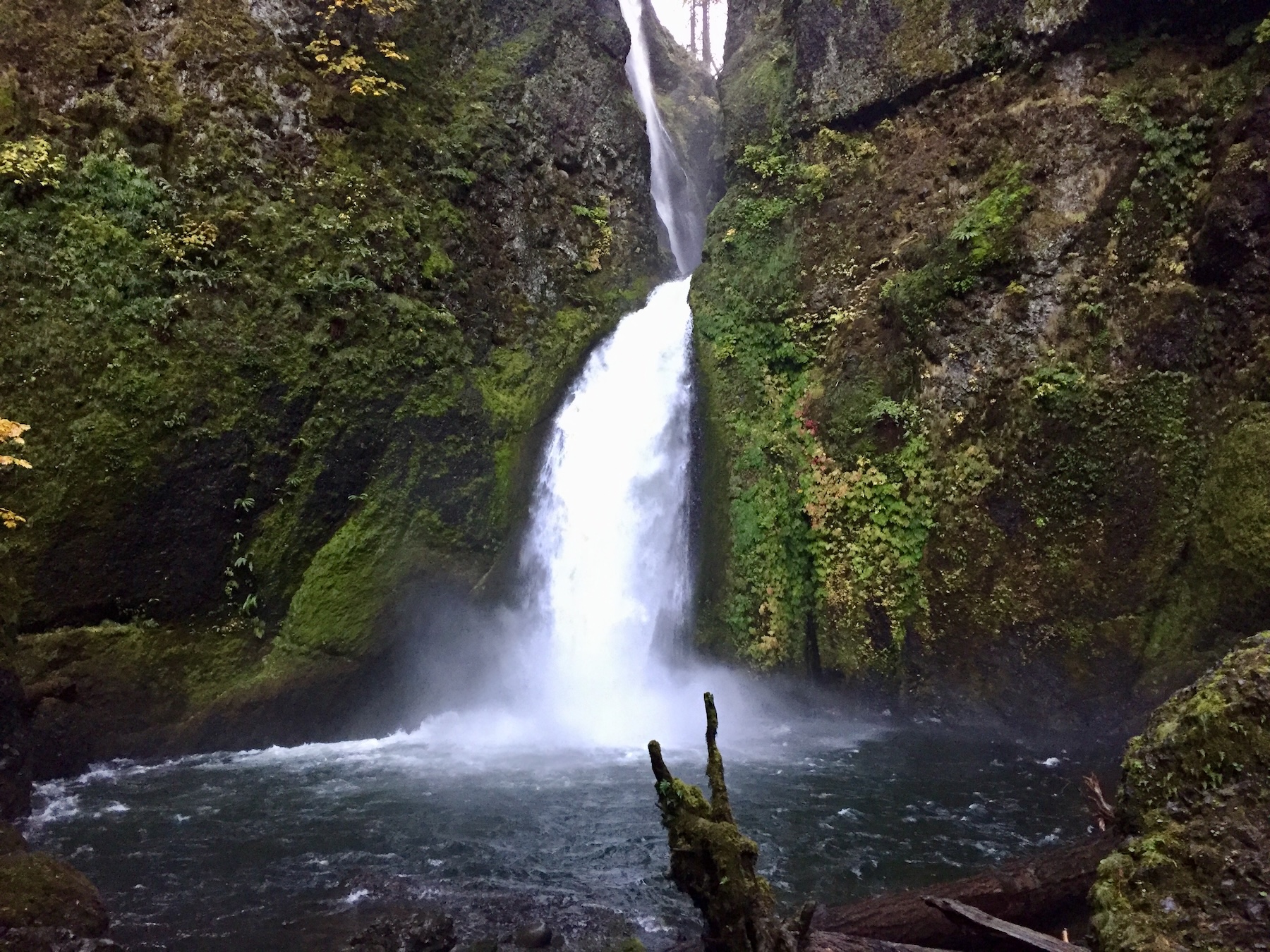 portland to multnomah falls