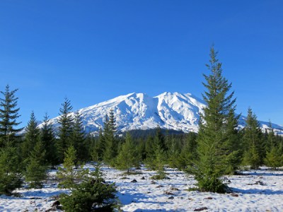 best views of mt st helens