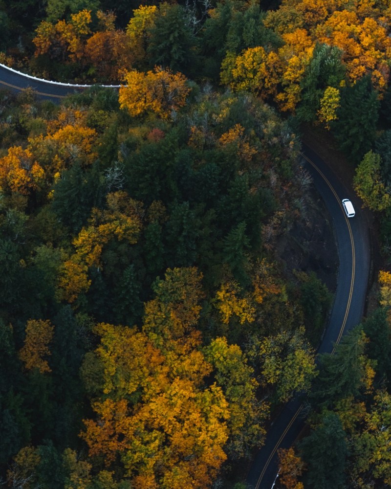 Fall foliage in the Columbia River Gorge