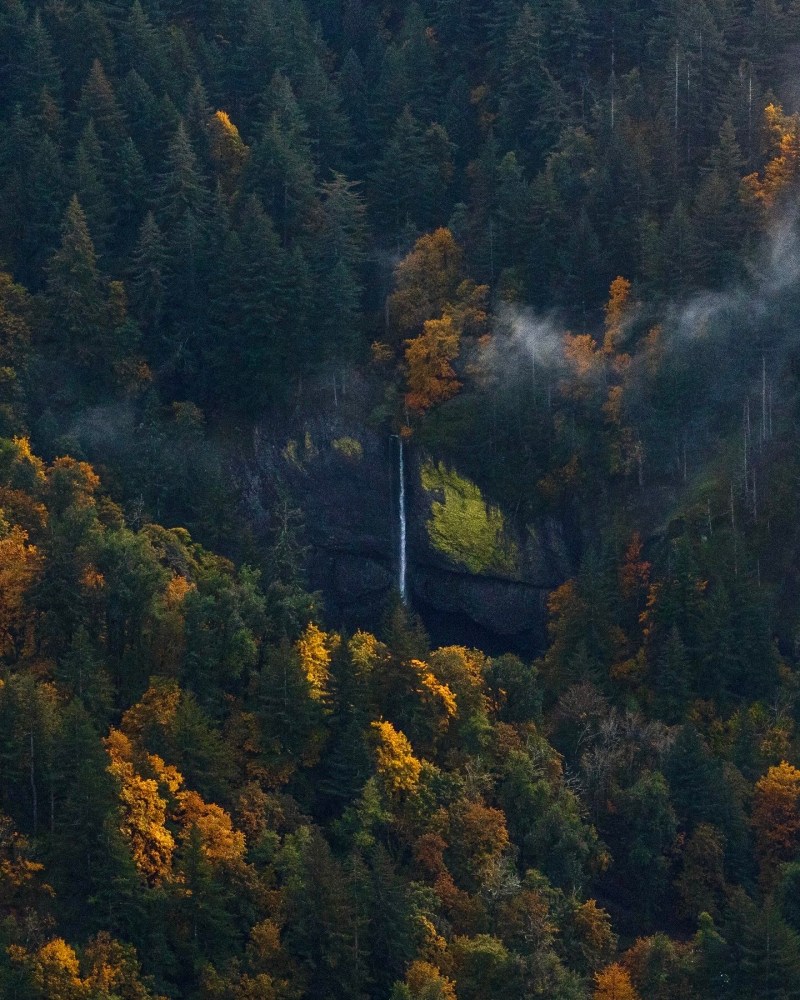 Peak fall foliage in Oregon